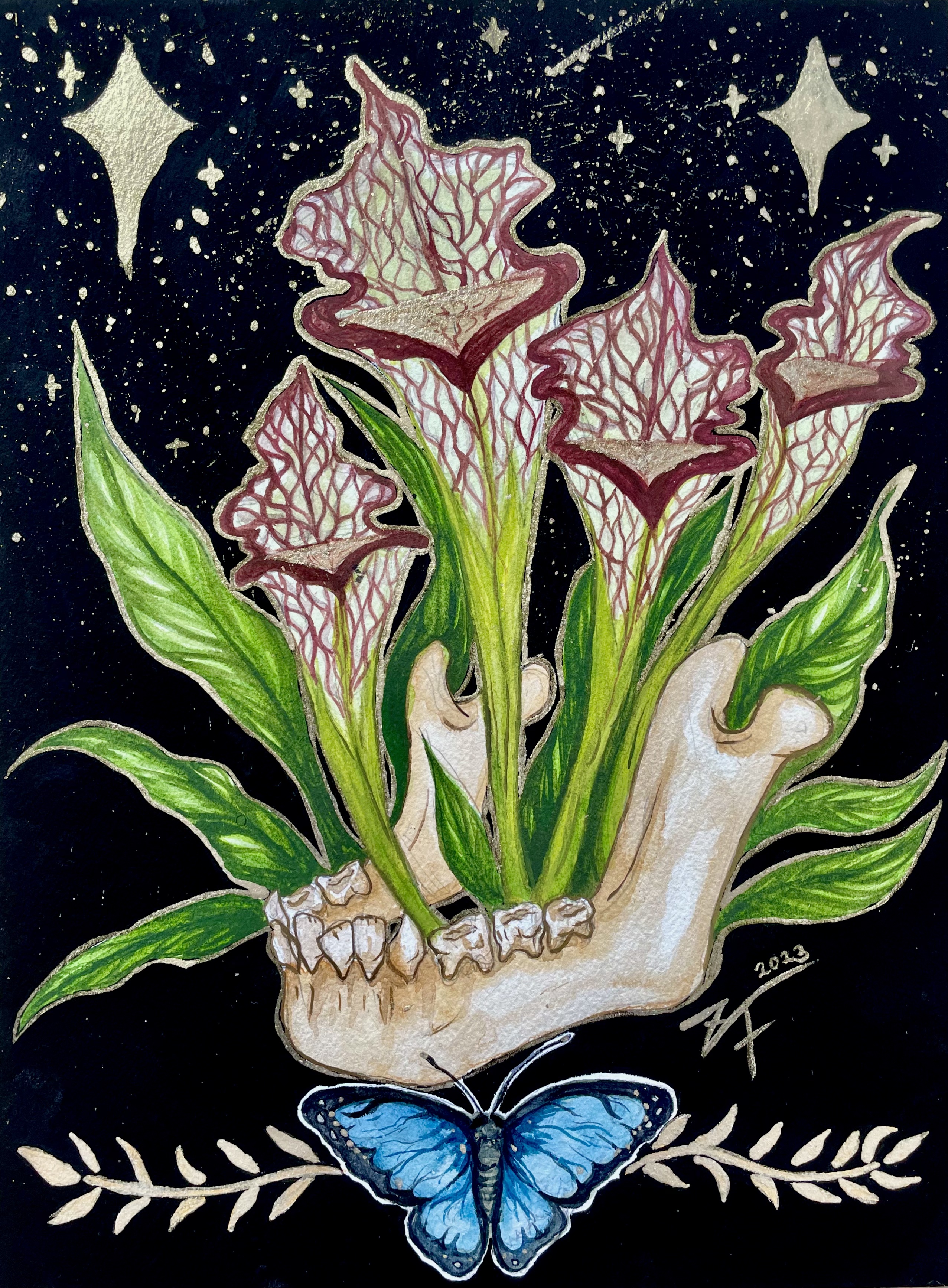 Star Pitcher